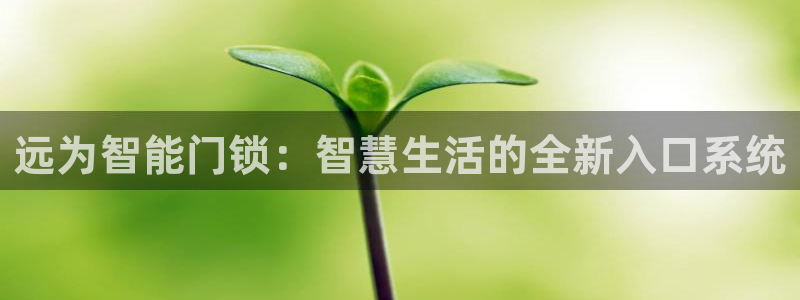 开丰娱乐67 5138：远为智能门锁：智慧生活的全新入口系统