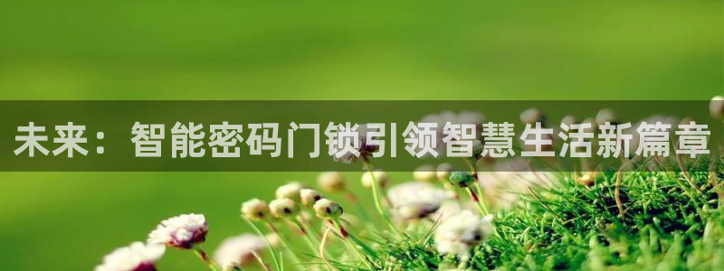 开丰娱乐咋7O777：未来：智能密码门锁引领智慧生活新篇章