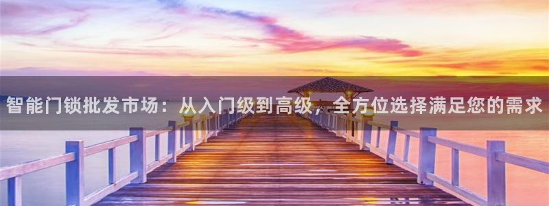 开丰娱乐登入地址查询：智能门锁批发市场：从入门级到高级，全方
