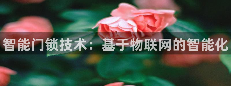开丰娱乐官方app：智能门锁技术：基于物联网的智能化