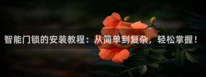 开丰娱乐登入地址是什么：智能门锁的安装教程：从简单到复杂，轻