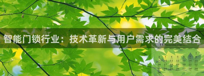 开丰娱乐更多平台：智能门锁行业：技术革新与用户需求的完美结合