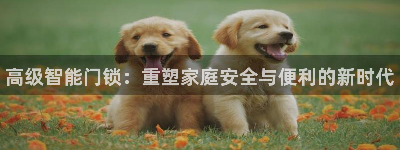 开丰娱乐于六七五一38：高级智能门锁：重塑家庭安全与便利的新
