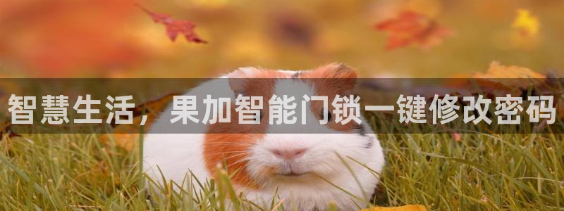 开丰娱乐注册登录不了：智慧生活，果加智能门锁一键修改密码