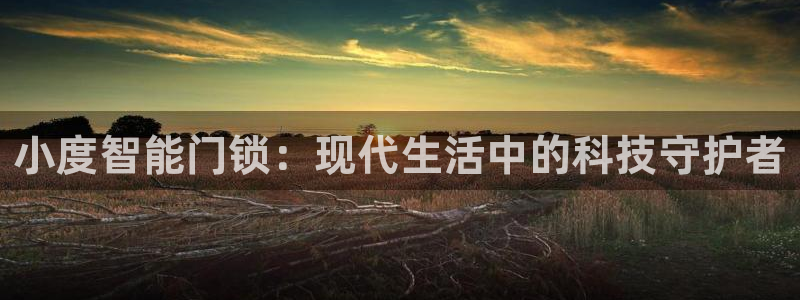 开丰娱乐月7O667：小度智能门锁：现代生活中的科技守护者