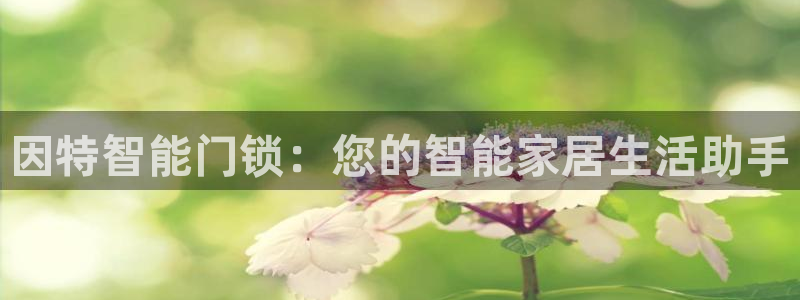 开丰娱乐线路：因特智能门锁：您的智能家居生活助手