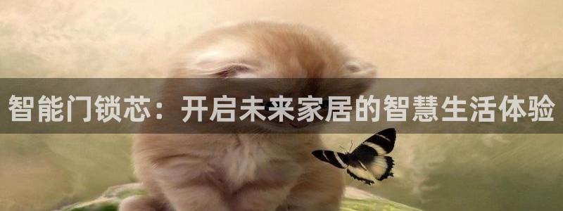 开丰娱乐更多平台：智能门锁芯：开启未来家居的智慧生活体验