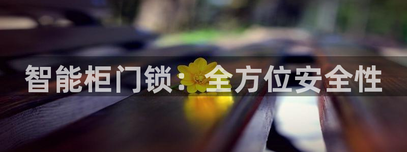 开丰娱乐登录官方网站：智能柜门锁：全方位安全性