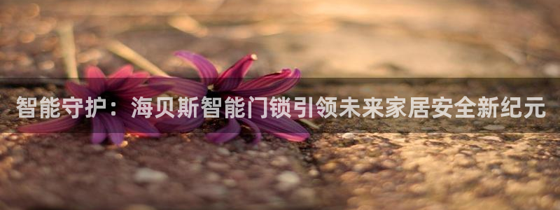 开丰娱乐科技：智能守护：海贝斯智能门锁引领未来家居安全新纪元