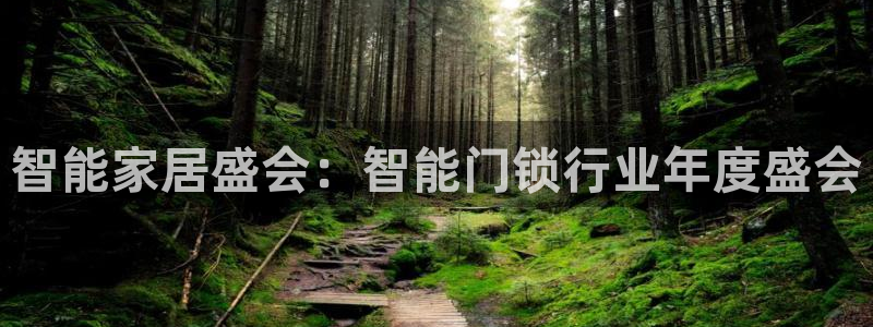 开丰娱乐登录平台：智能家居盛会：智能门锁行业年度盛会