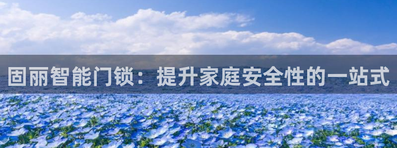 开丰娱乐体育平台：固丽智能门锁：提升家庭安全性的一站式