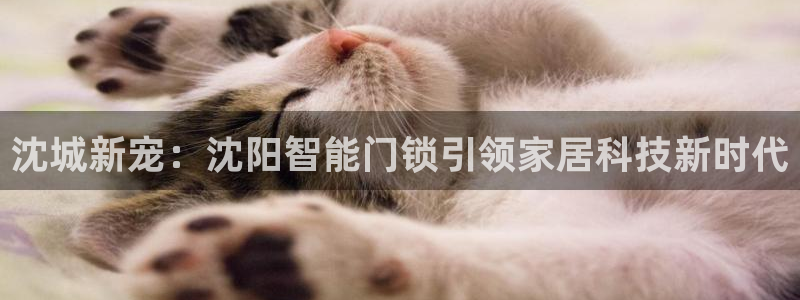 开丰娱乐平台注册地址：沈城新宠：沈阳智能门锁引领家居科技新时