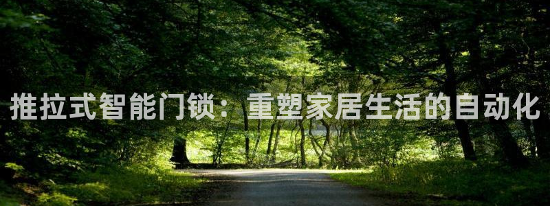 开丰娱乐寸67五壹叁八：推拉式智能门锁：重塑家居生活的自动化