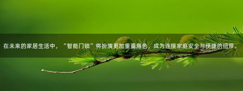 开丰娱乐左：在未来的家居生活中，“智能门锁”将扮演更加重要角
