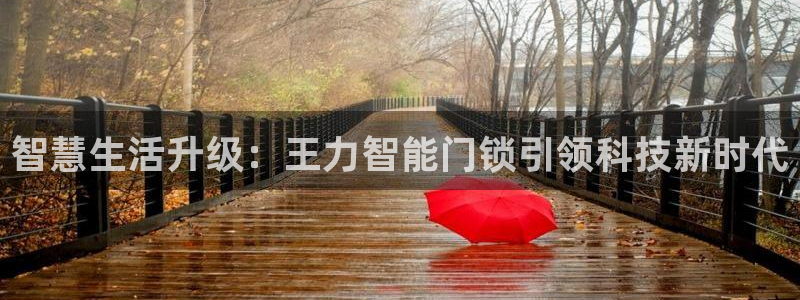 开丰娱乐天7O667：智慧生活升级：王力智能门锁引领科技新时