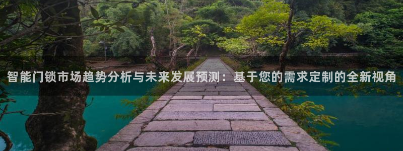 开丰娱乐姜333OO：智能门锁市场趋势分析与未来发展预测：基