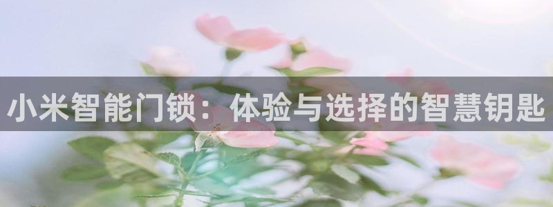 开丰娱乐官网首页：小米智能门锁：体验与选择的智慧钥匙