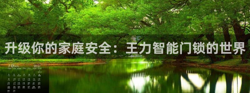 下载开丰娱乐：升级你的家庭安全：王力智能门锁的世界