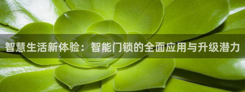 开丰娱乐违法吗：智慧生活新体验：智能门锁的全面应用与升级潜力