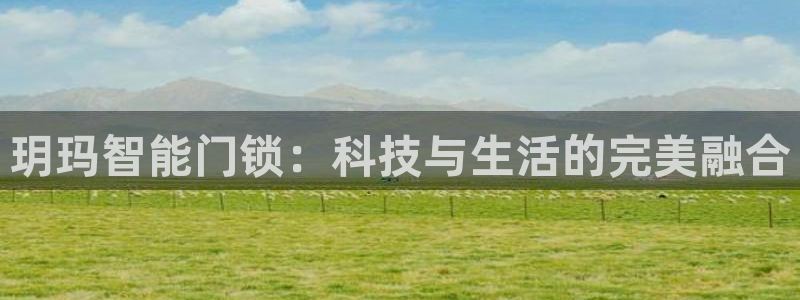 开丰娱乐登录地址入口：玥玛智能门锁：科技与生活的完美融合