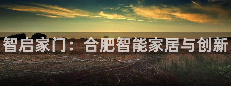 开丰娱乐予 7O935：智启家门：合肥智能家居与创新
