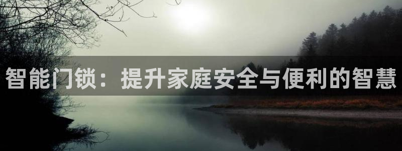 开丰娱乐网站：智能门锁：提升家庭安全与便利的智慧