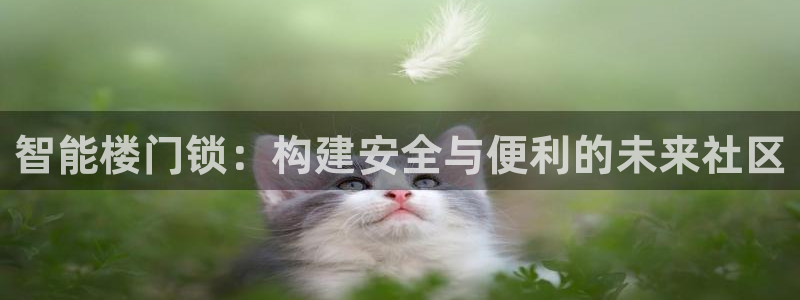 开丰娱乐登陆地址：智能楼门锁：构建安全与便利的未来社区