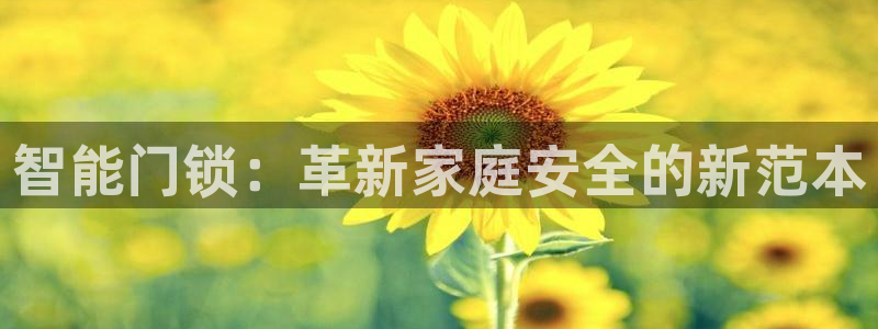 开丰娱乐官方app：智能门锁：革新家庭安全的新范本