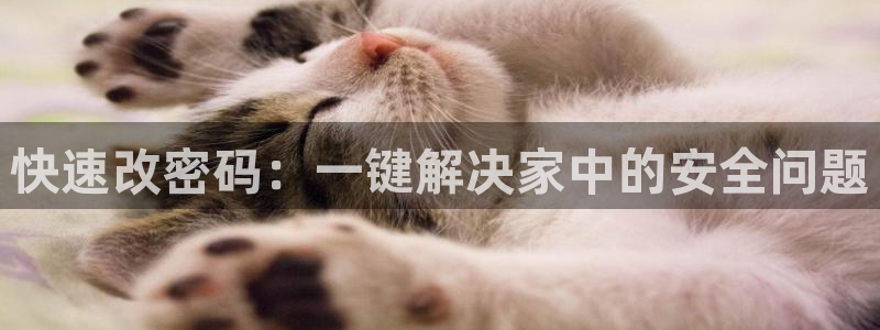 开丰娱乐日：快速改密码：一键解决家中的安全问题