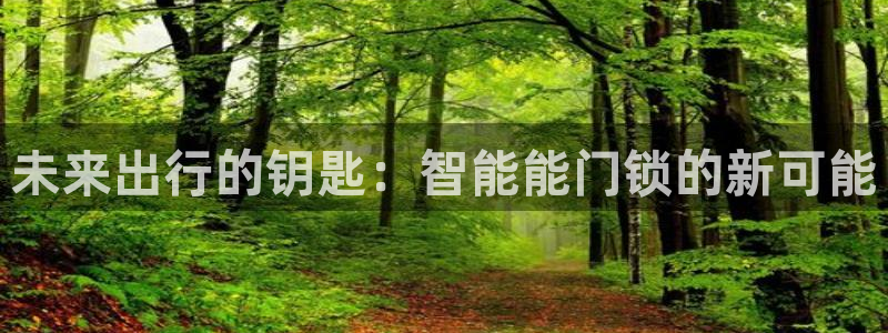 开丰娱乐靠谱吗：未来出行的钥匙：智能能门锁的新可能