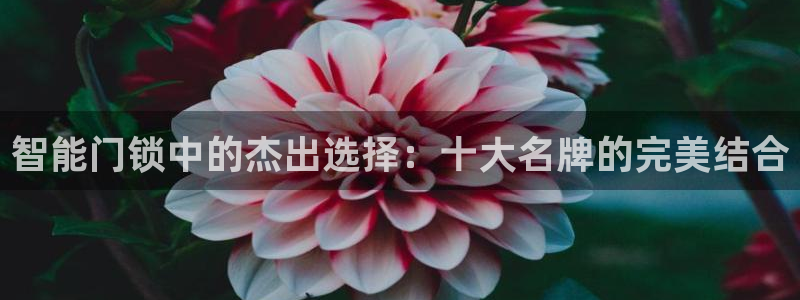 开丰娱乐更多平台：智能门锁中的杰出选择：十大名牌的完美结合