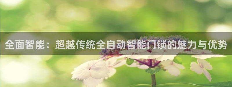 开丰娱乐登入地址在哪查：全面智能：超越传统全自动智能门锁的魅