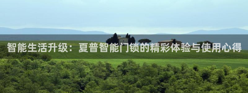 开丰娱乐主管：智能生活升级：夏普智能门锁的精彩体验与使用心得