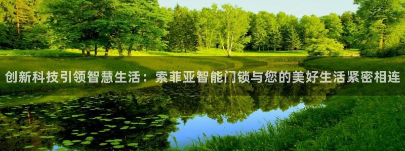 开丰娱乐于六七五一38：创新科技引领智慧生活：索菲亚智能门锁