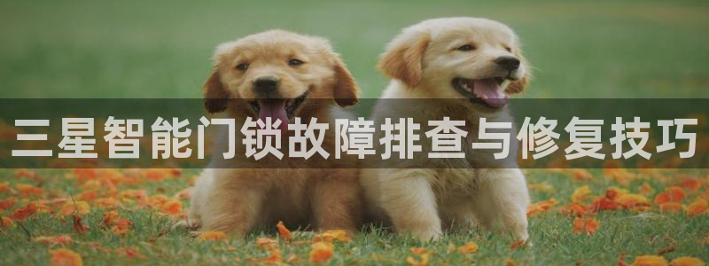 开丰娱乐巾67五壹叁八：三星智能门锁故障排查与修复技巧