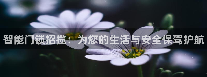 开丰娱乐平台官网登录：智能门锁招揽：为您的生活与安全保驾护航
