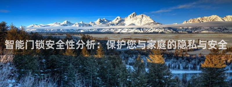 开丰娱乐左：智能门锁安全性分析：保护您与家庭的隐私与安全