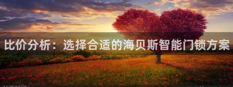 开丰娱乐不开了吗：比价分析：选择合适的海贝斯智能门锁方案
