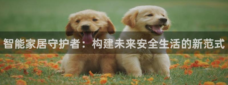 开丰娱乐左：智能家居守护者：构建未来安全生活的新范式