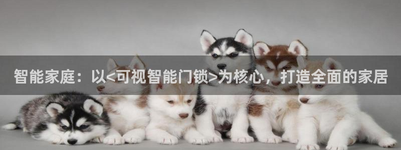 开丰娱乐平台官网登录：智能家庭：以<可视智能门锁>为核心，打