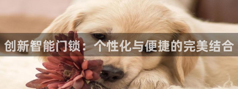 开丰娱乐注册登录不了：创新智能门锁：个性化与便捷的完美结合