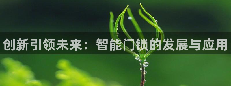 开丰娱乐行业恢复时间：创新引领未来：智能门锁的发展与应用