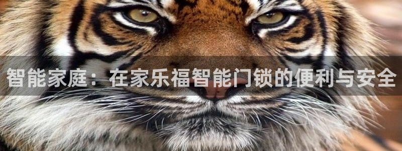 开丰娱乐山67五壹叁八：智能家庭：在家乐福智能门锁的便利与安