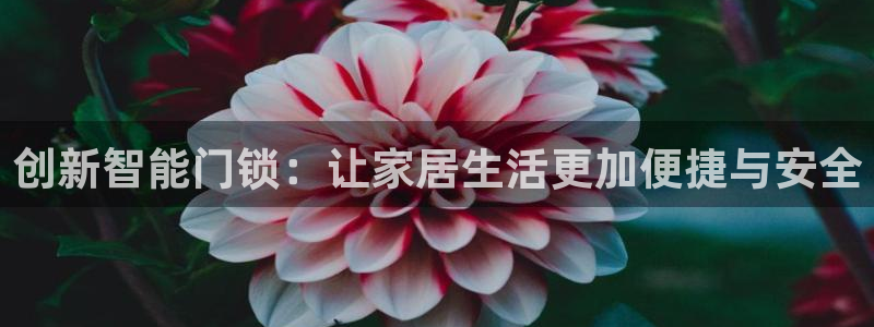 开丰娱乐官网最新消息：创新智能门锁：让家居生活更加便捷与安全