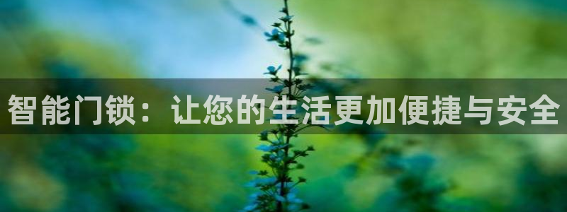 开丰娱乐平台地址：智能门锁：让您的生活更加便捷与安全