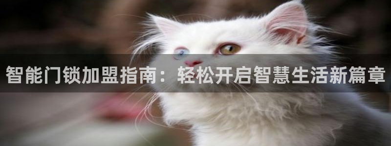 开丰娱乐姜333OO：智能门锁加盟指南：轻松开启智慧生活新篇