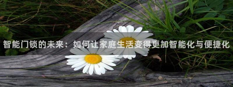 开丰娱乐科技：智能门锁的未来：如何让家庭生活变得更加智能化与