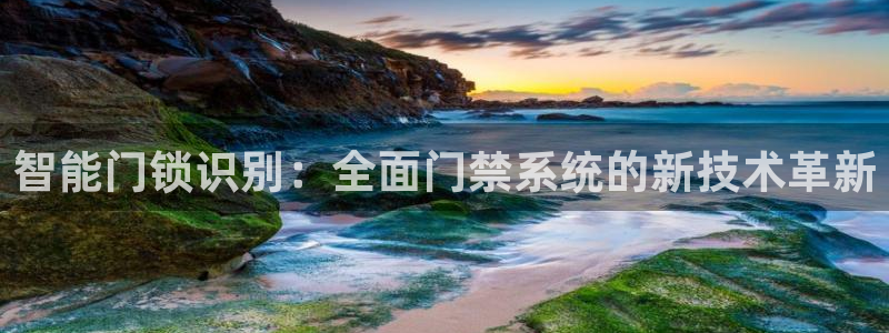 开丰娱乐官网首页：智能门锁识别：全面门禁系统的新技术革新