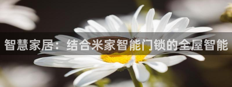 开丰娱乐山67五壹叁八：智慧家居：结合米家智能门锁的全屋智能