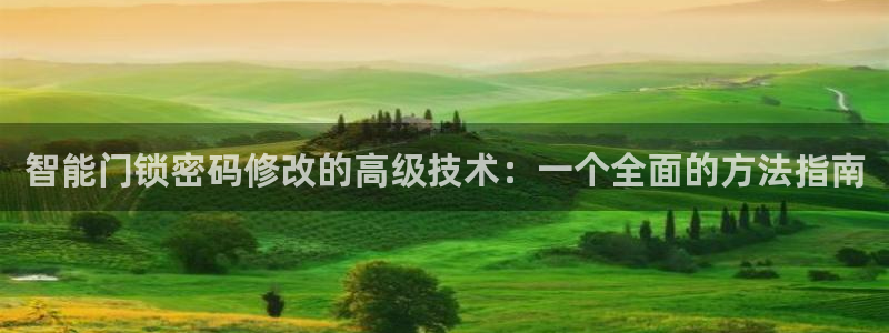 开丰娱乐测速：智能门锁密码修改的高级技术：一个全面的方法指南